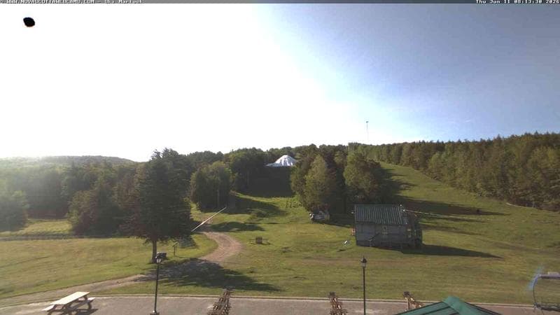 Ski Martock