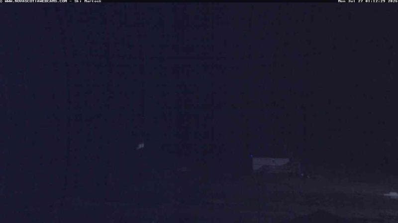 Ski Martock