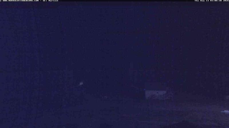 Ski Martock