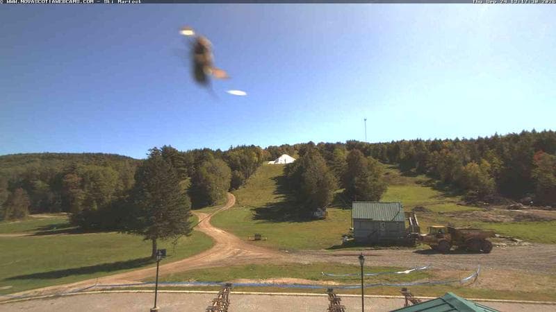Ski Martock
