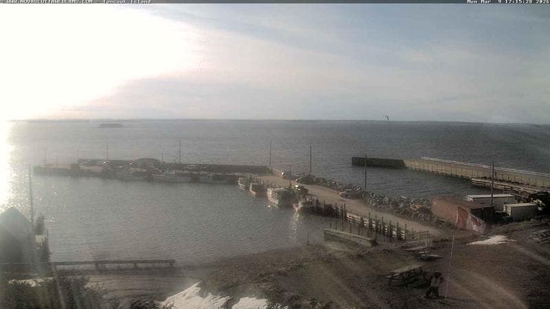 Tancook Island Wharf