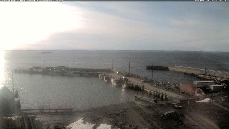 Tancook Island Wharf