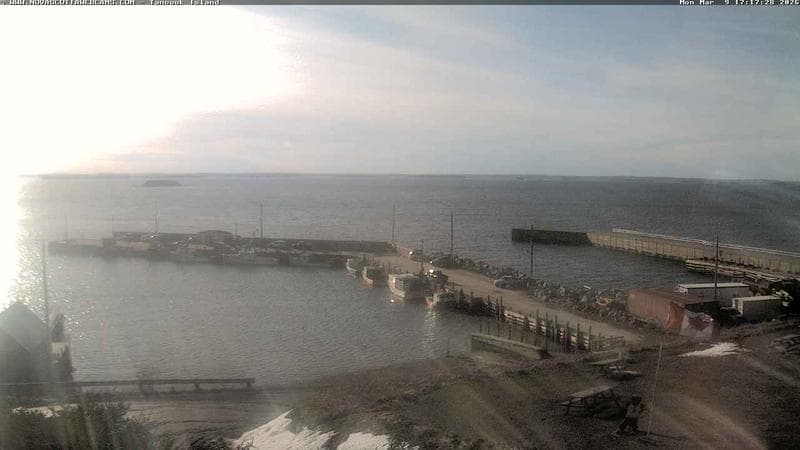 Tancook Island Wharf