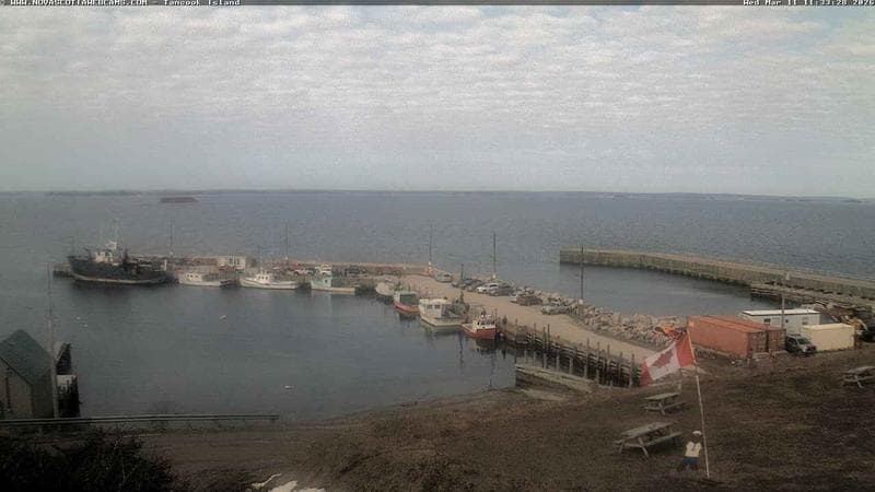 Tancook Island Wharf