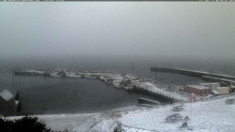 Tancook Island Wharf