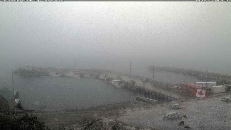 Tancook Island Wharf