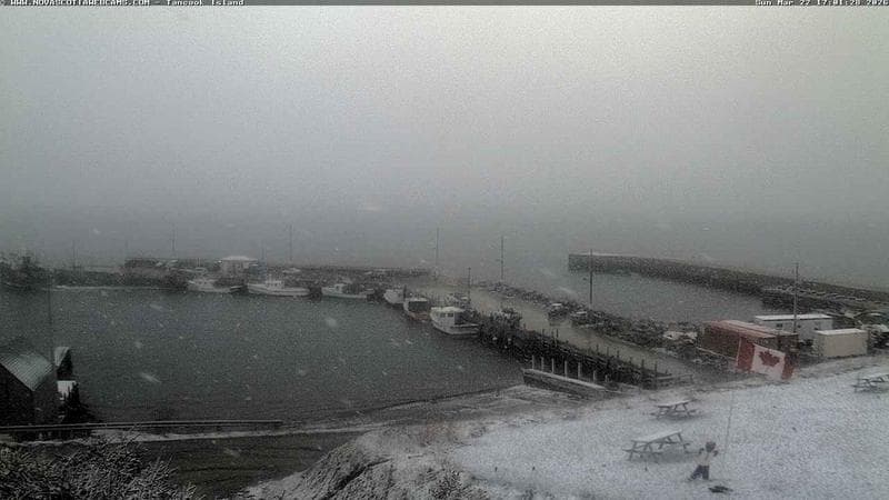 Tancook Island Wharf