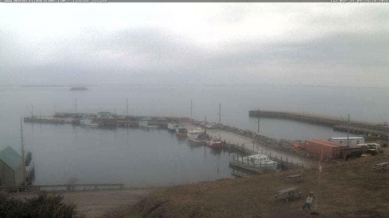 Tancook Island Wharf
