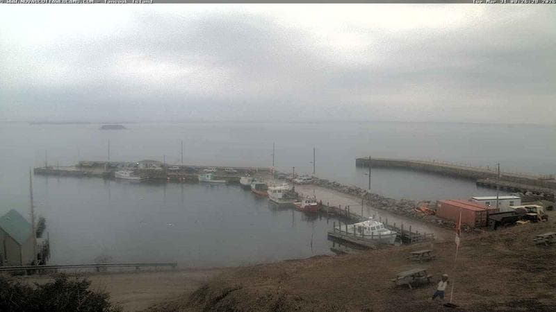 Tancook Island Wharf