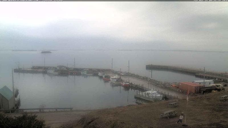 Tancook Island Wharf