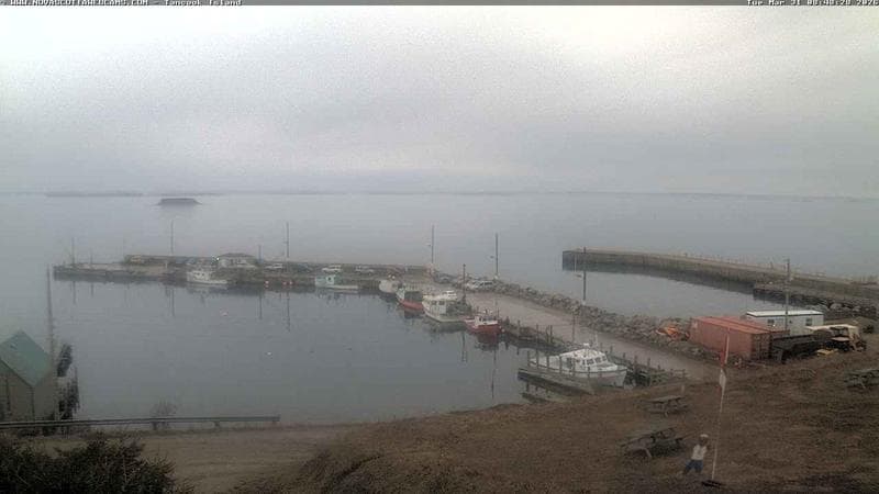 Tancook Island Wharf