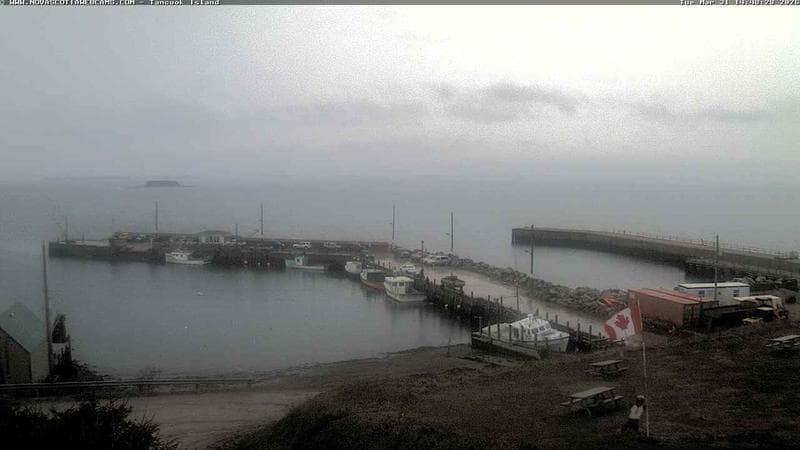 Tancook Island Wharf