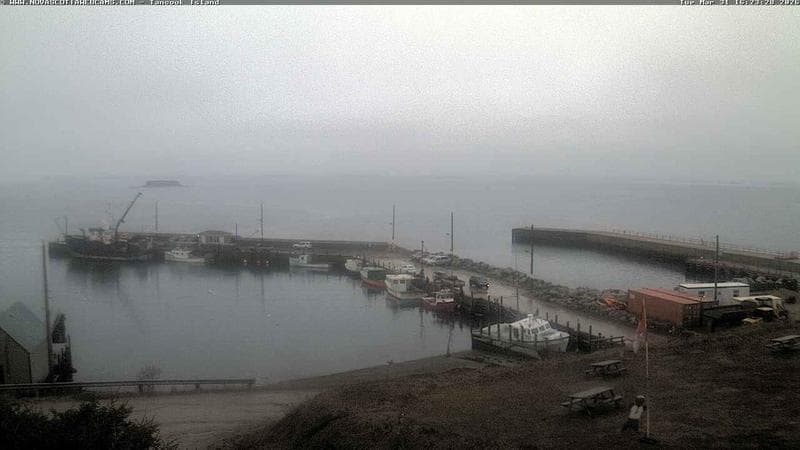 Tancook Island Wharf