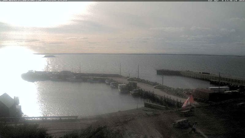 Tancook Island Wharf