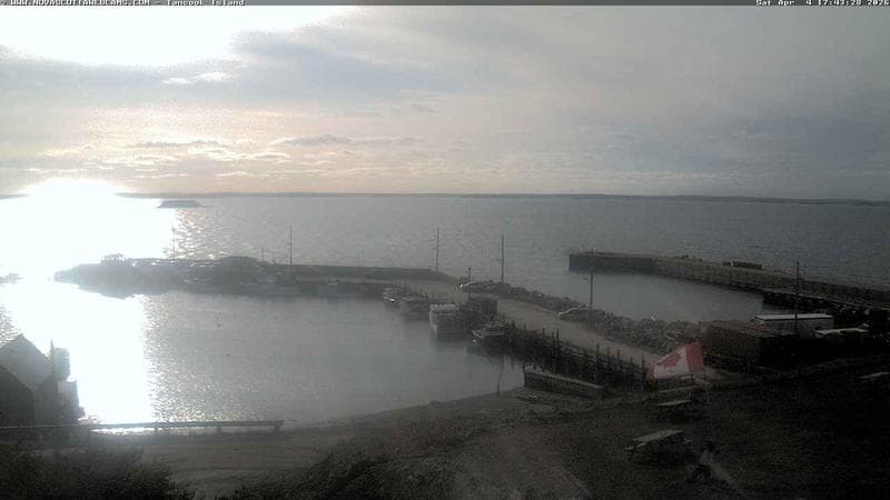 Tancook Island Wharf