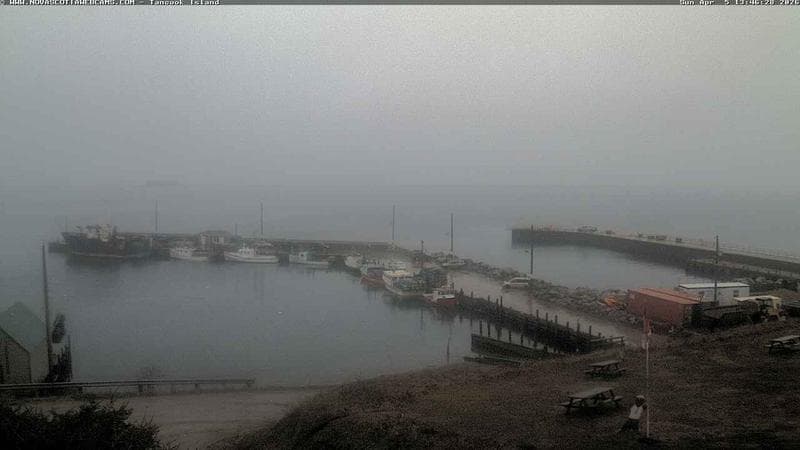 Tancook Island Wharf