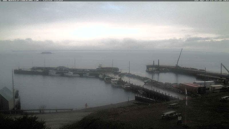 Tancook Island Wharf