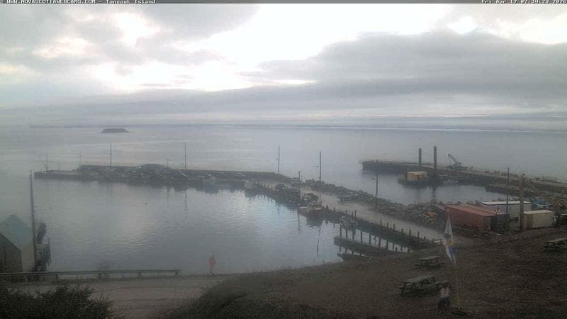 Tancook Island Wharf