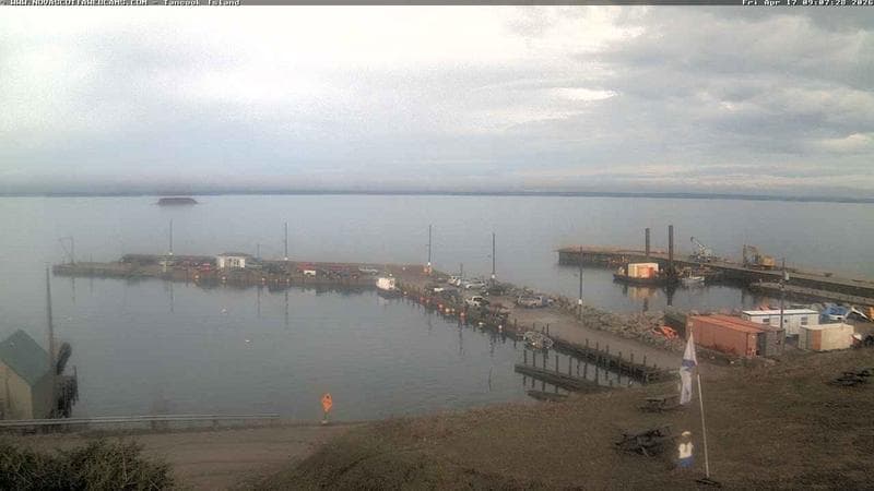 Tancook Island Wharf