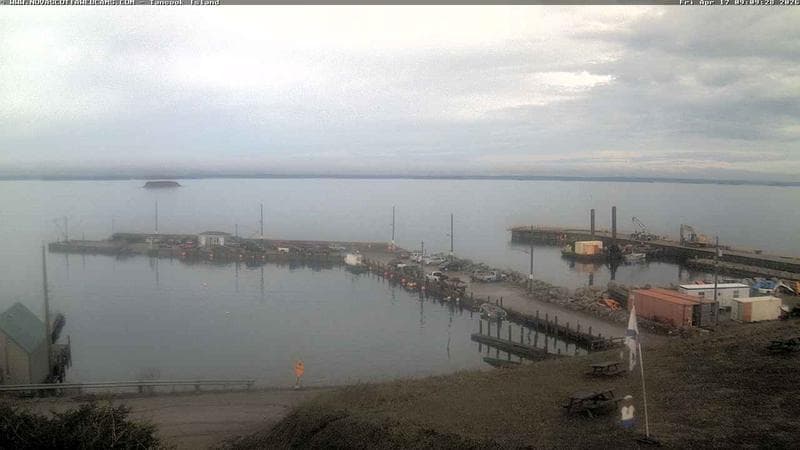 Tancook Island Wharf