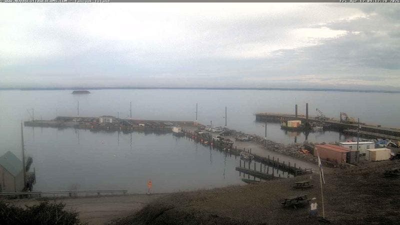 Tancook Island Wharf