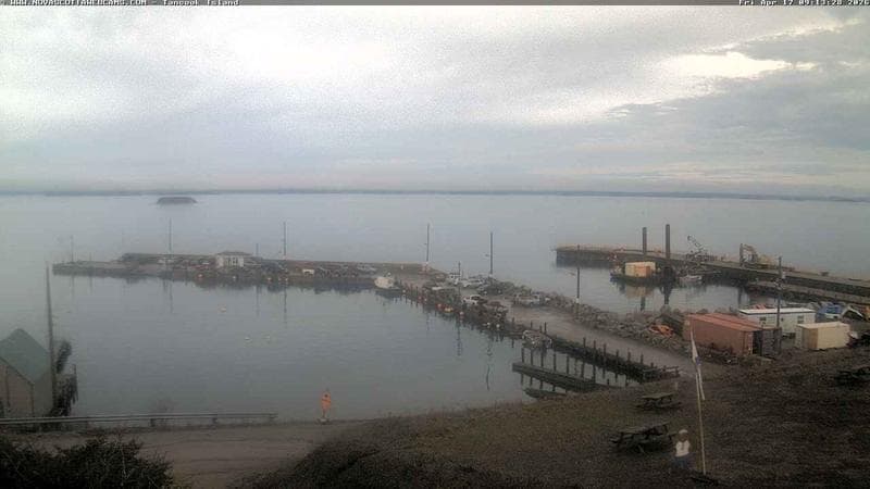 Tancook Island Wharf