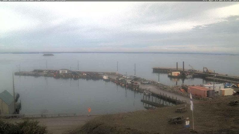 Tancook Island Wharf