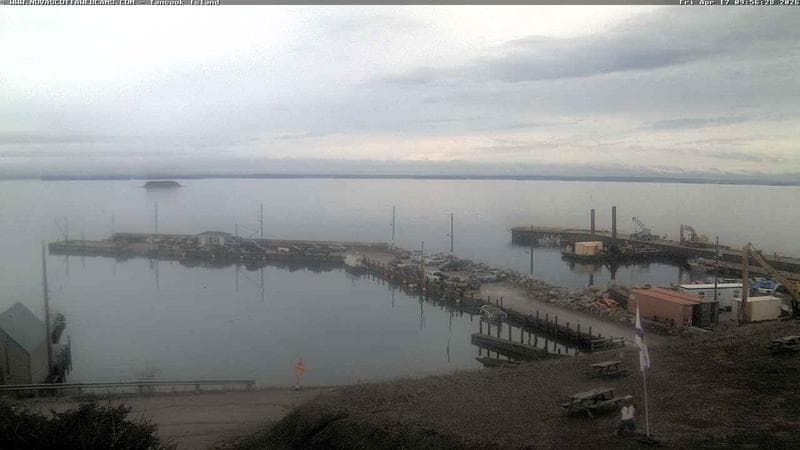 Tancook Island Wharf