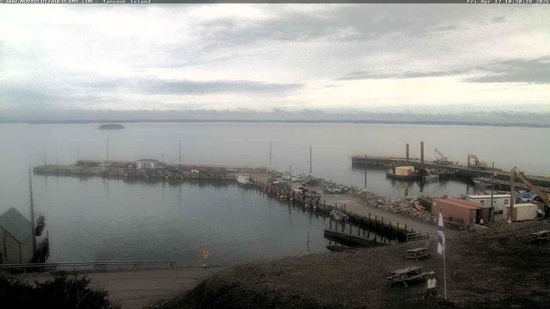 Tancook Island Wharf