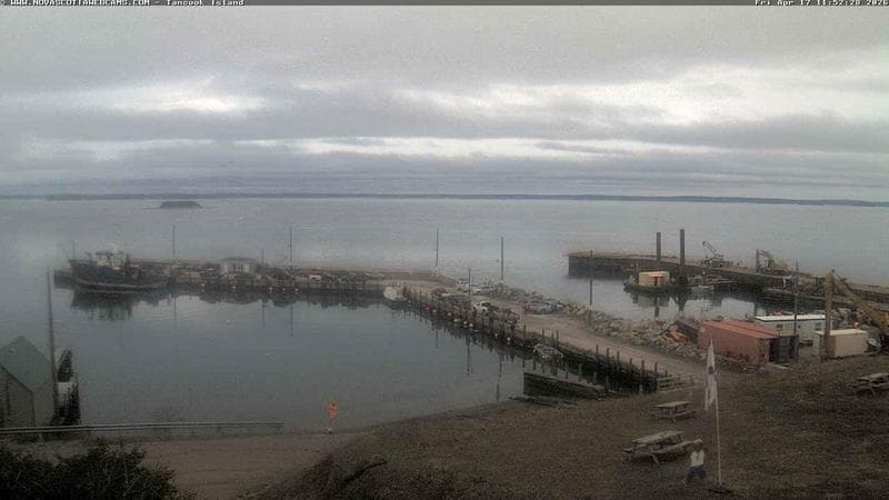 Tancook Island Wharf
