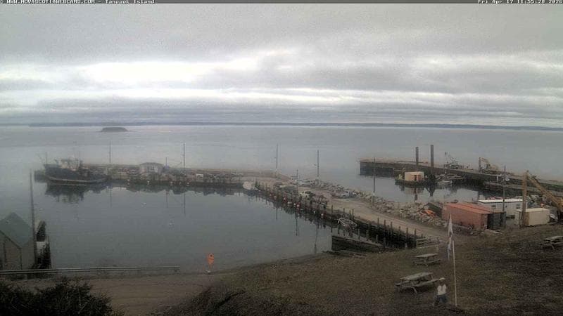 Tancook Island Wharf