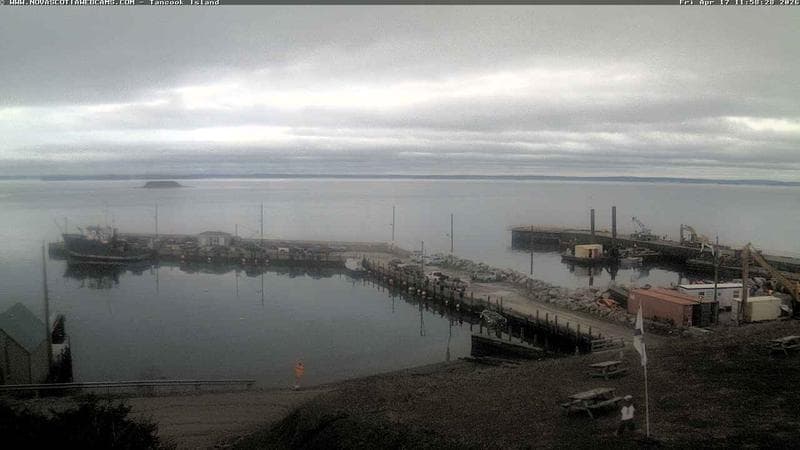 Tancook Island Wharf