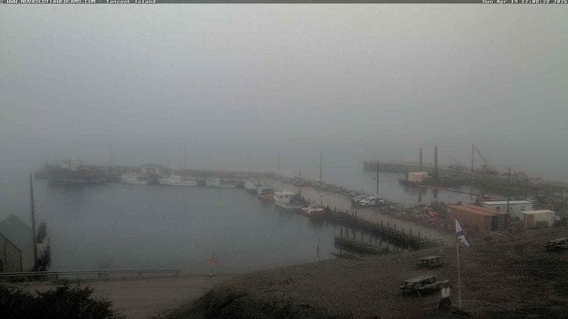 Tancook Island Wharf