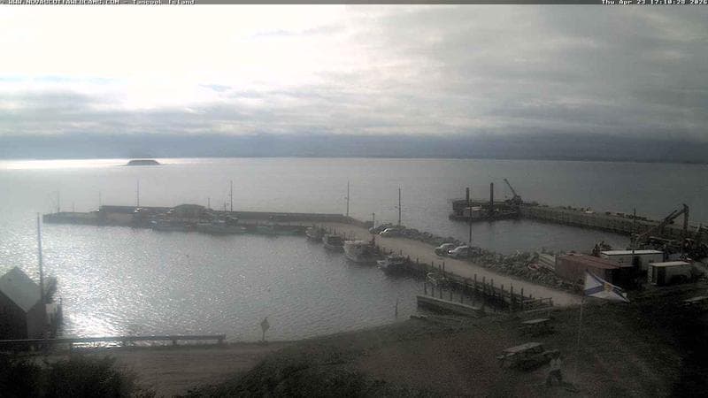 Tancook Island Wharf