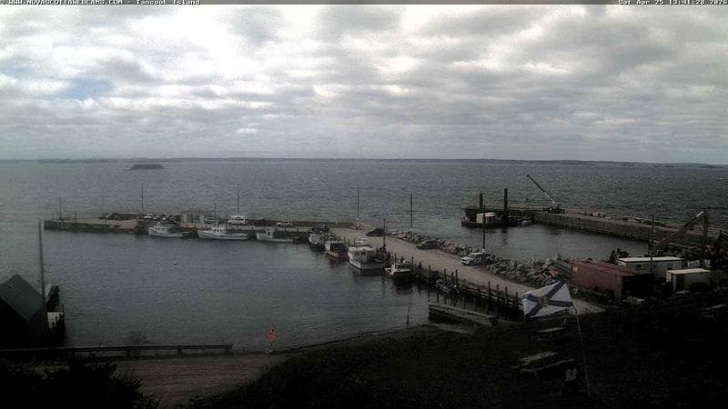 Tancook Island Wharf