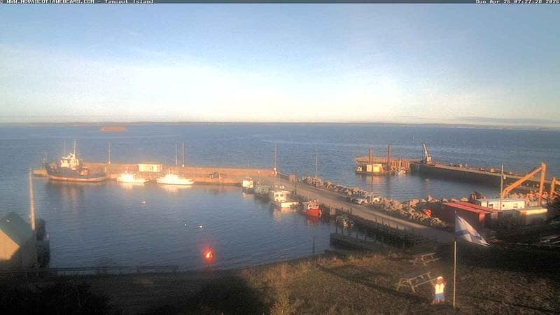 Tancook Island Wharf