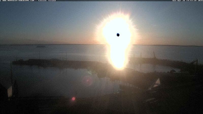 Tancook Island Wharf