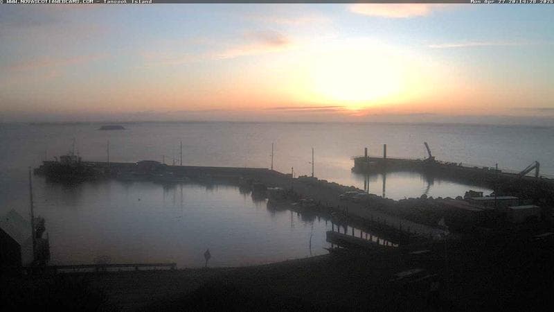 Tancook Island Wharf