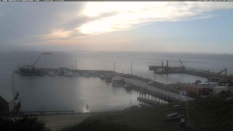 Tancook Island Wharf