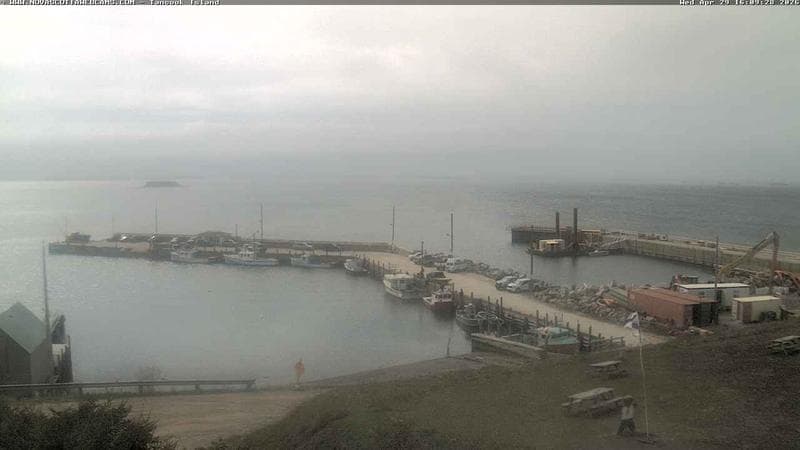 Tancook Island Wharf