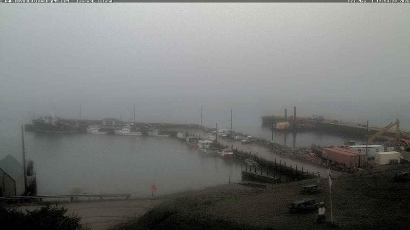 Tancook Island Wharf