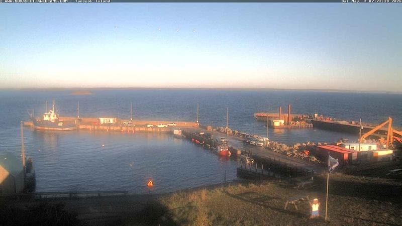 Tancook Island Wharf