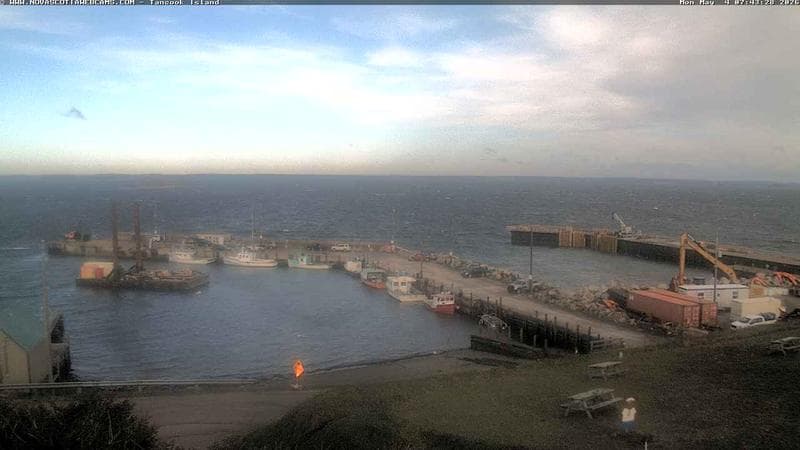 Tancook Island Wharf