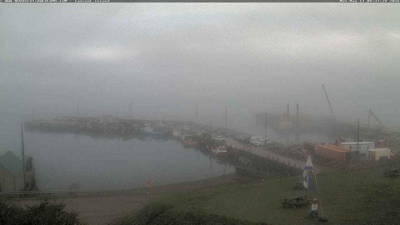 Tancook Island Wharf