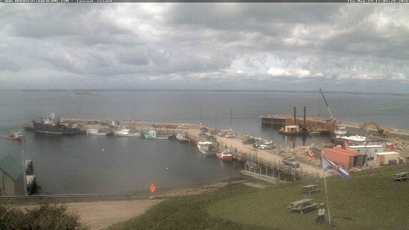 Tancook Island Wharf