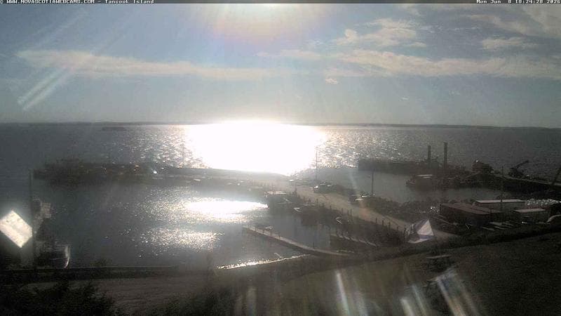 Tancook Island Wharf