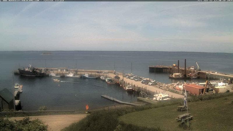 Tancook Island Wharf