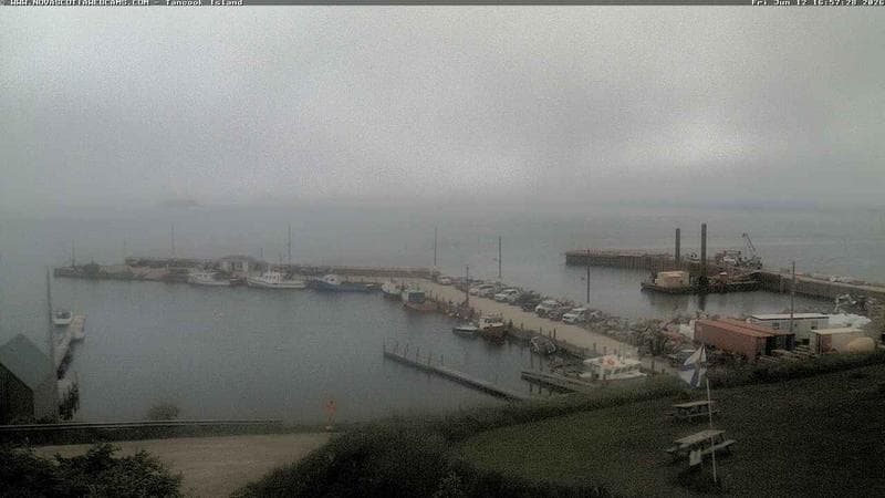 Tancook Island Wharf