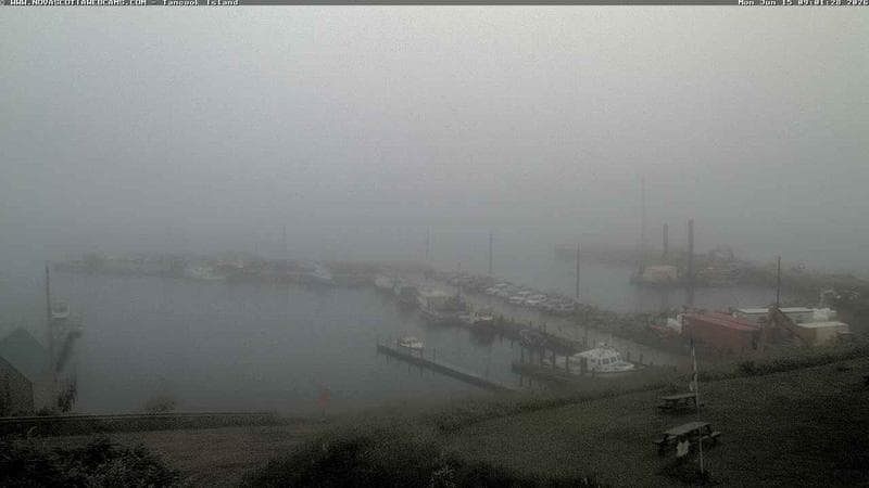 Tancook Island Wharf