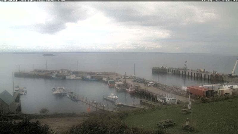 Tancook Island Wharf